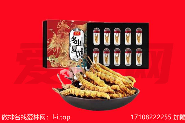 铜仁思南县回收虫草.jpg